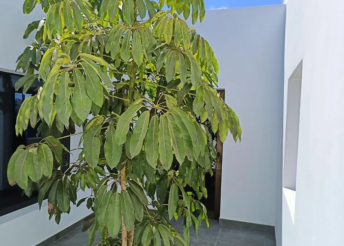 度假居 Casa Jable *